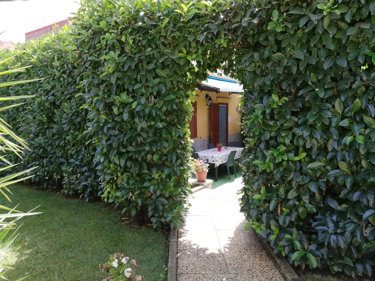 Depandance Con Piscina In Uso In Esclusivo In B&B SantʼAntonio Abate Kültér fotó